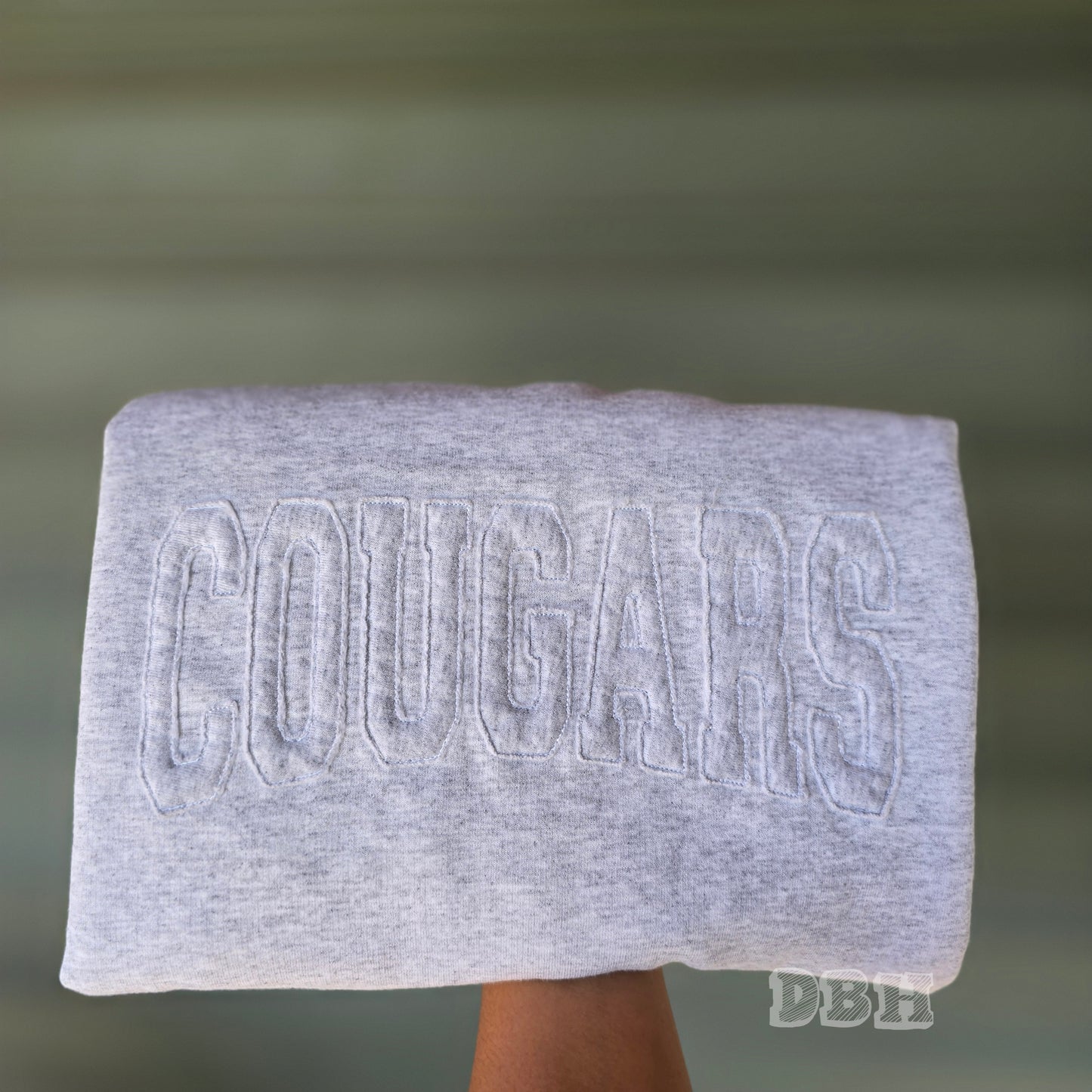 Raggy Sweatshirts (Updated listing) - WS