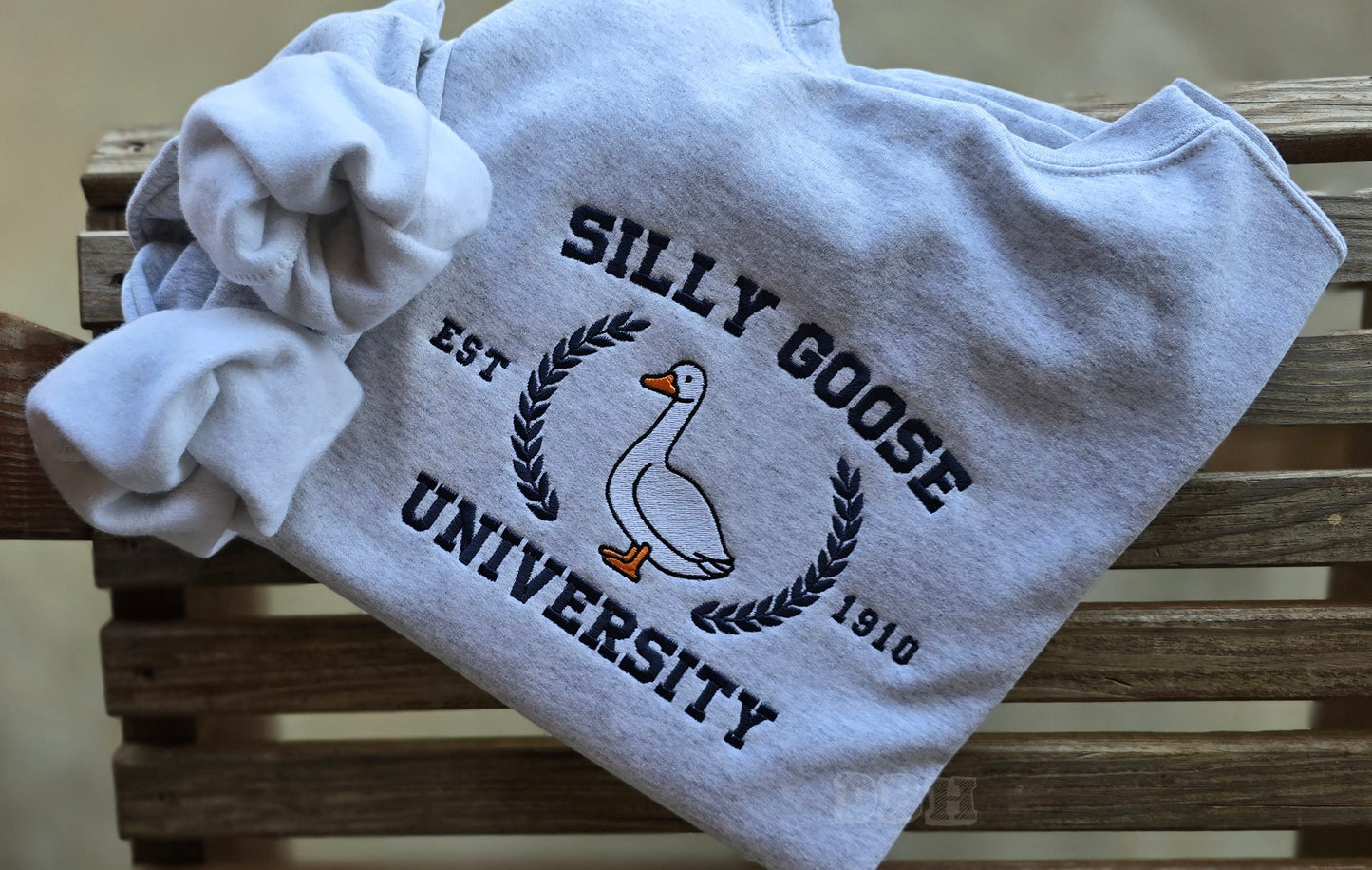 Silly Goose University